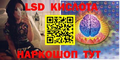 спиды Моздок
