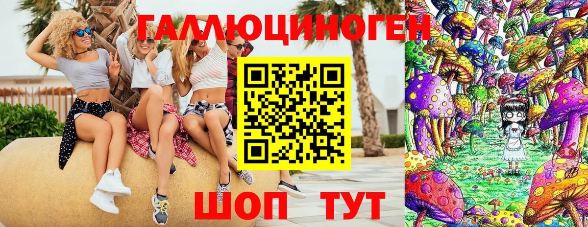 Псилоцибиновые грибы Cubensis Удомля