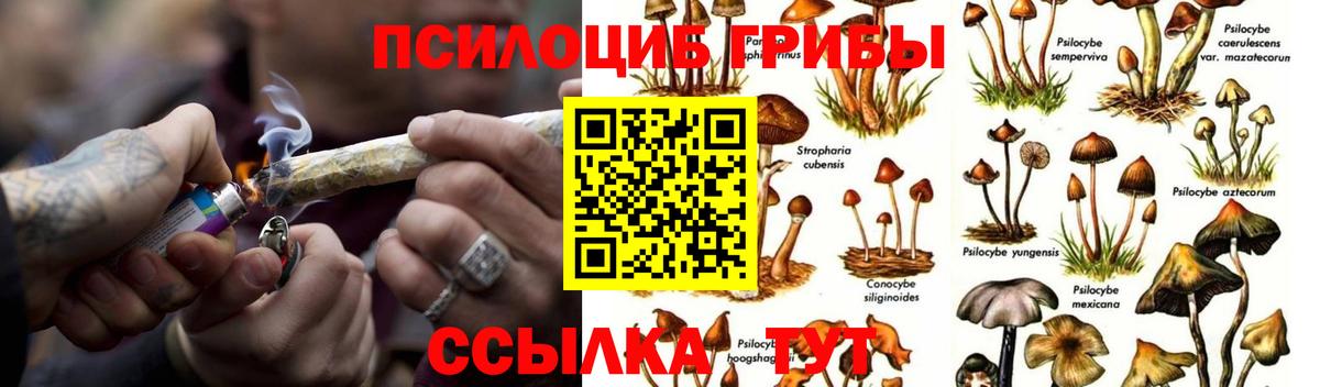 Удомля  Псилоцибиновые грибы мухоморы  Вход с VPN 